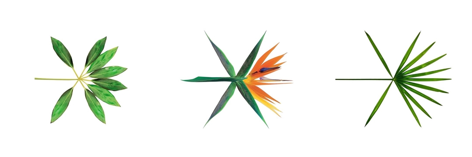 exo_kokobop_logo