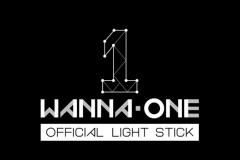 Lightstick Wanna One